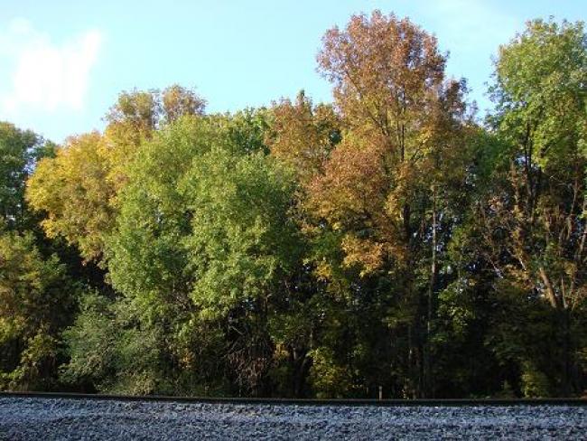 Ланна восени - Ланная