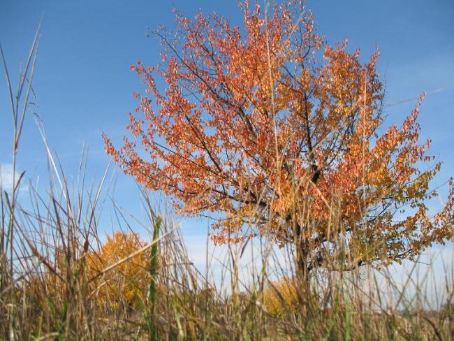 Говтва - Говтва