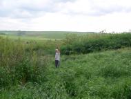 Родовое поместье