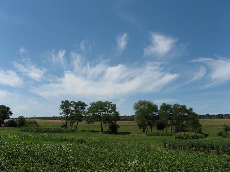 Рідне село - Сабадаш