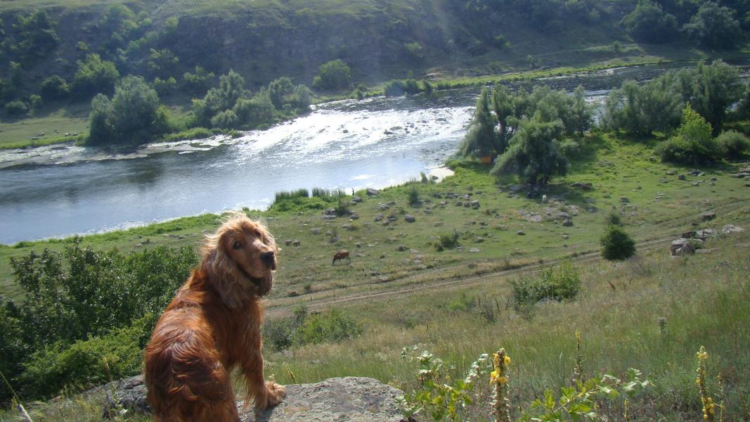 Наші фото - Хащеватое