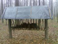 Лісове господарство Шпикова!