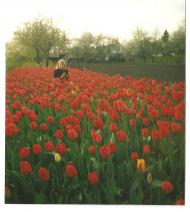 Молодецьке - Останні фото