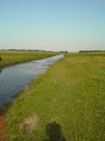 Рідне село - Хлиплі