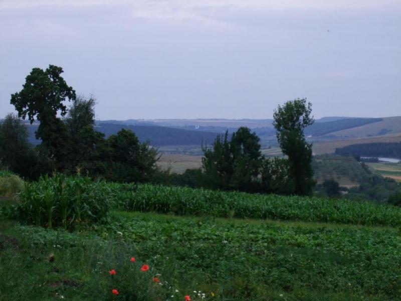 1 - Рыдомиль