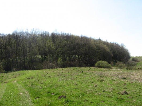 Рідне село - Хлиплі