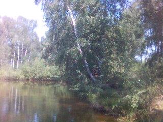 Пейзажі в/ч - Замшани