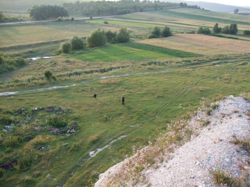 1 - Рыдомиль