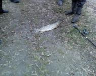 Варковичі the best!!!