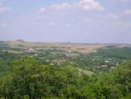 родное село