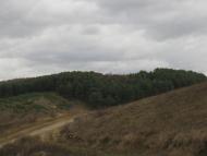 Варковичі the best!!!