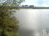 Природа багви