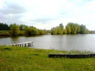 Природа багви