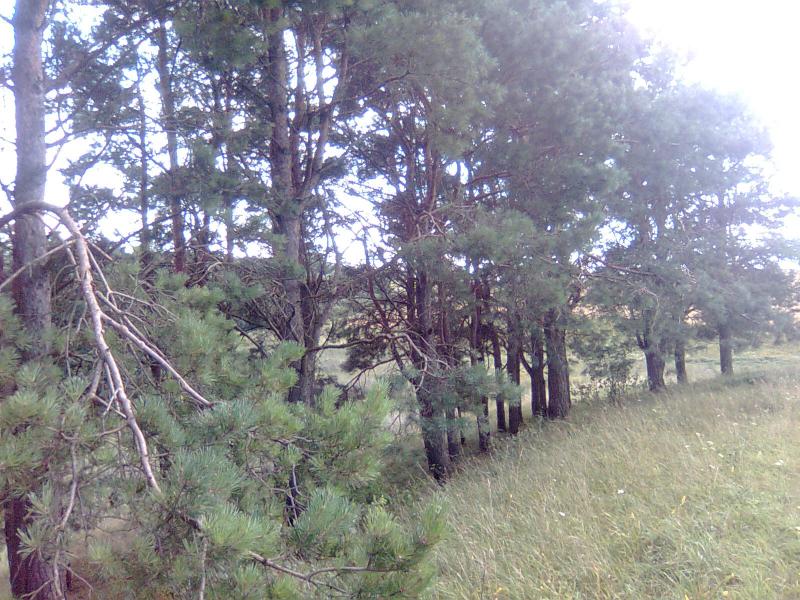 Ожарівка - Ожарівка