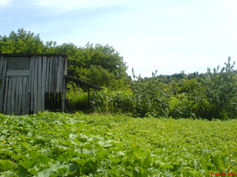 Лето - Буймер