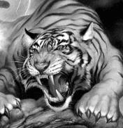 Remeyk - Гаї-за-Рудою