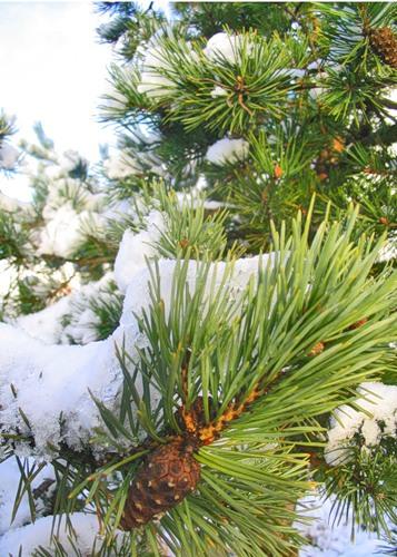 Фото любителів Ожарівки - Ожарівка