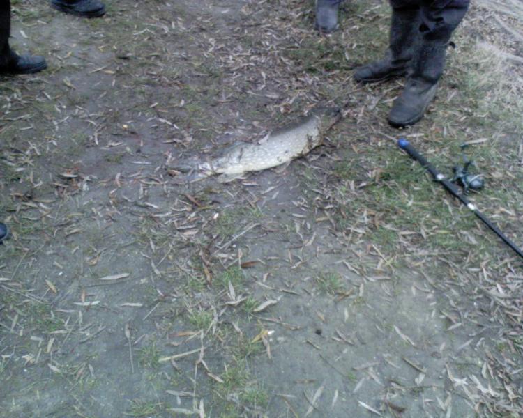 Варковичі the best!!! - Варковичі