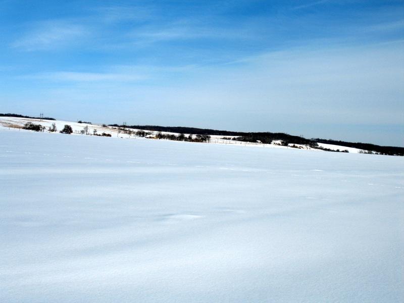 Наші фото - Букачівці