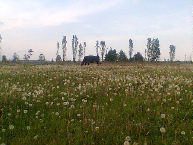 Наші фото - Винятинцы