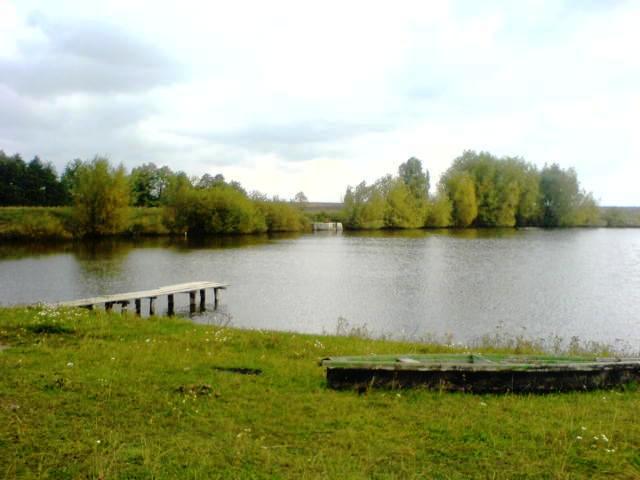 Природа багви - Багва