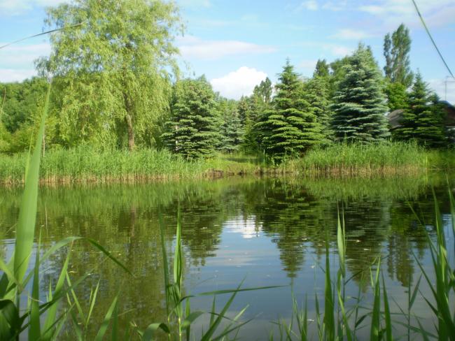 Щорс - любимый город - Щорс