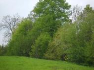 Природа у Брусенках