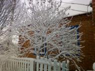 Buymer - Selected photos