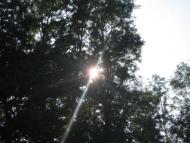 Липки - Останні фото