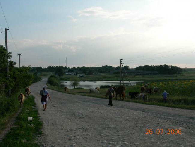 Мое село - Ivanivtsi