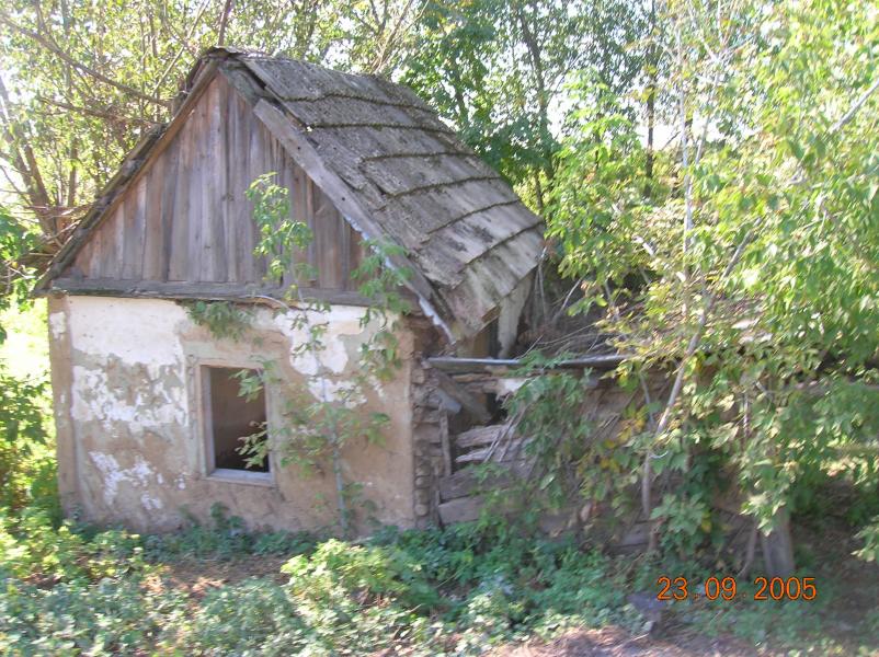 Наші фото - Бранцівка