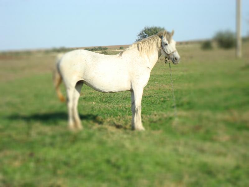 Наші фото - Привілля