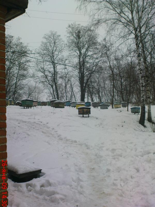 с.Буймер - Буймер