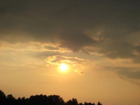 Наші фото - Липки