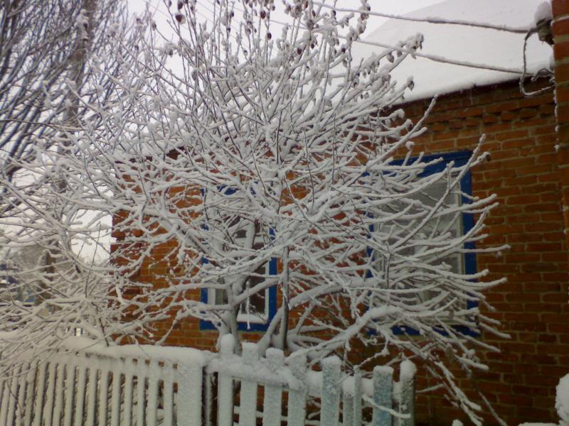 с.Буймер - Буймер