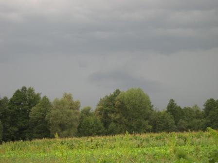 Наші фото - Липки