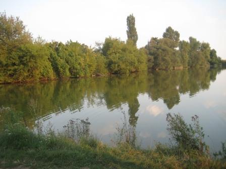 Наші фото - Липки