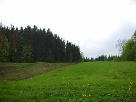 Наші фото - Брусенки