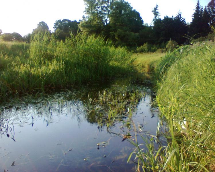 Моє село - Замлиння