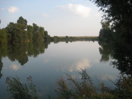 Наші фото - Липки