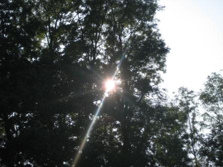 Наші фото - Липки