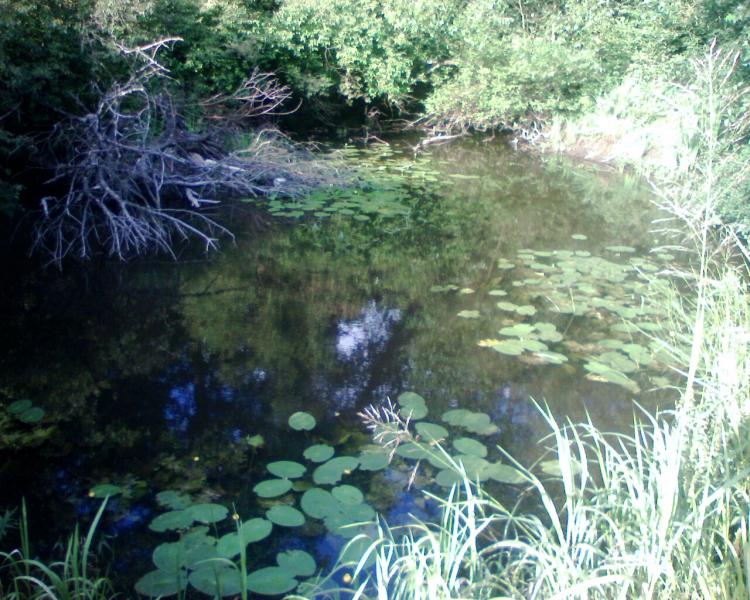 Моє село - Замлиння