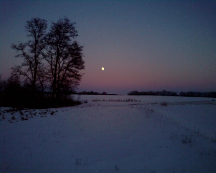 Наші фото - Лукаші