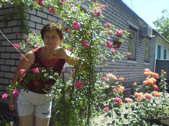 шмирі - Верещаки