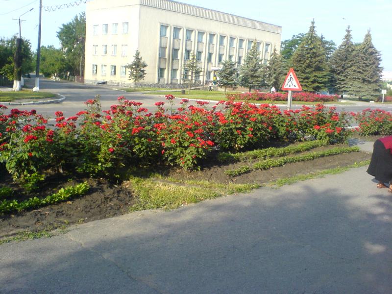 Гайсин - Гайсин