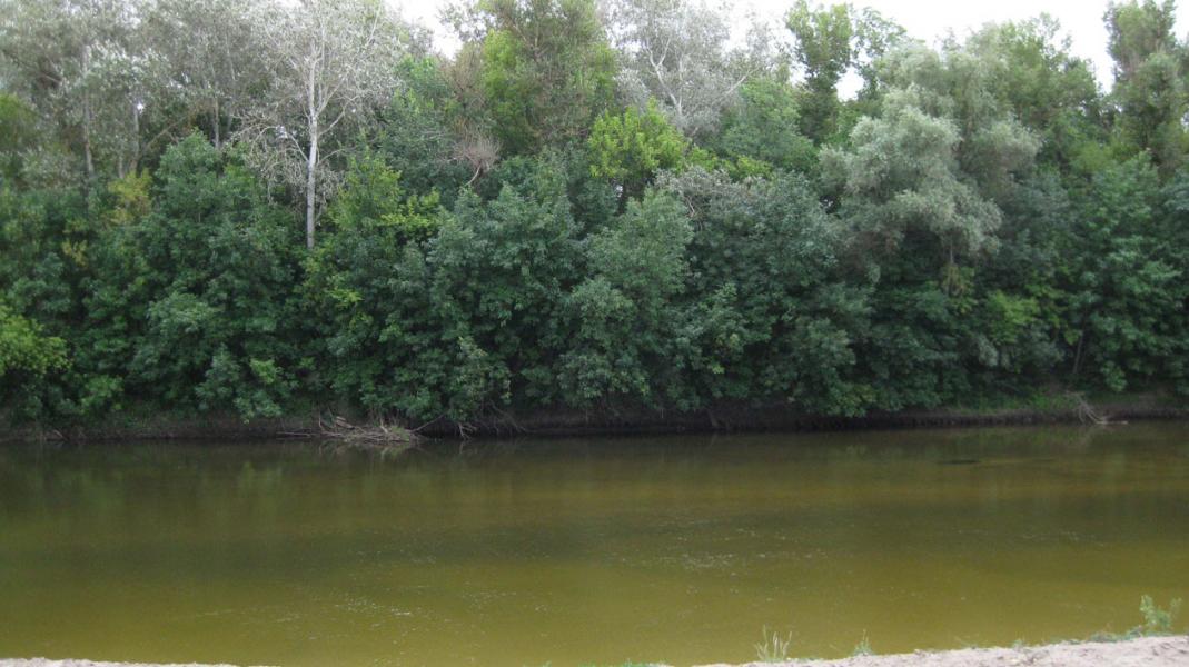 Lamane - Ламане