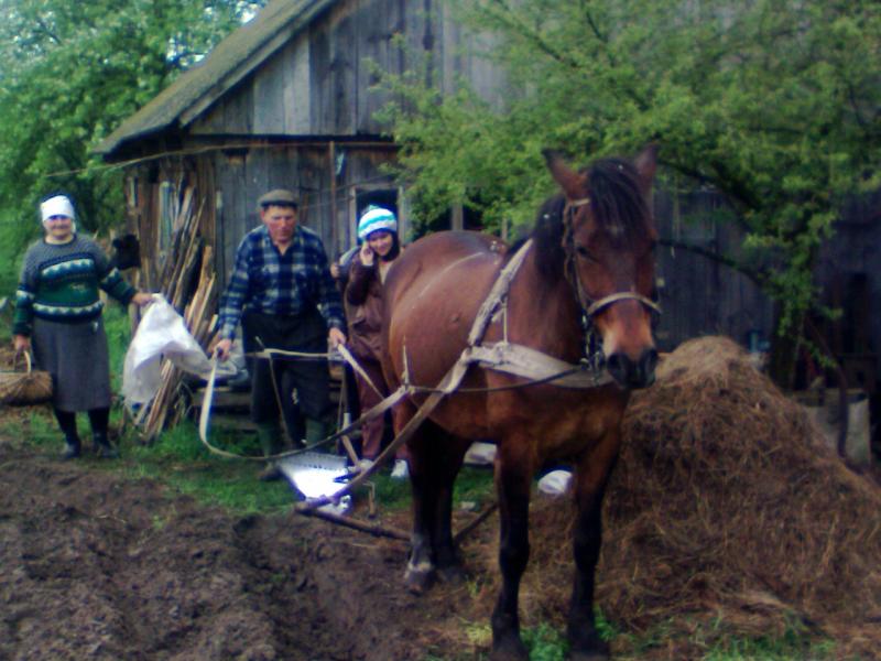 Моє село - Замлиння