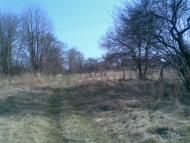 с.Старый Хмерин