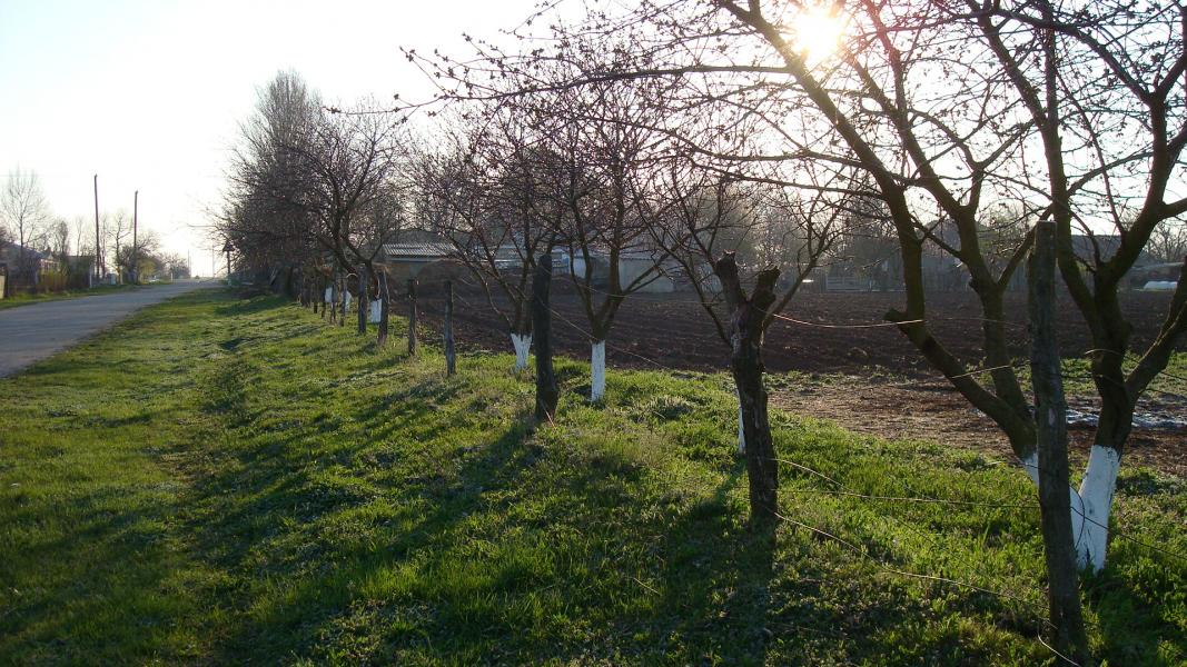 Наші фото - Привілля