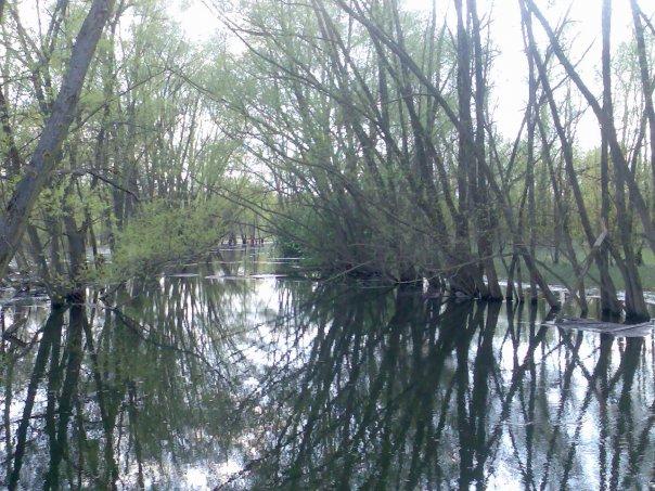 ua - Гелетинці